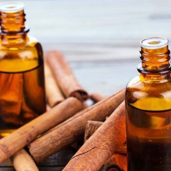 Cassia cinnamon oil